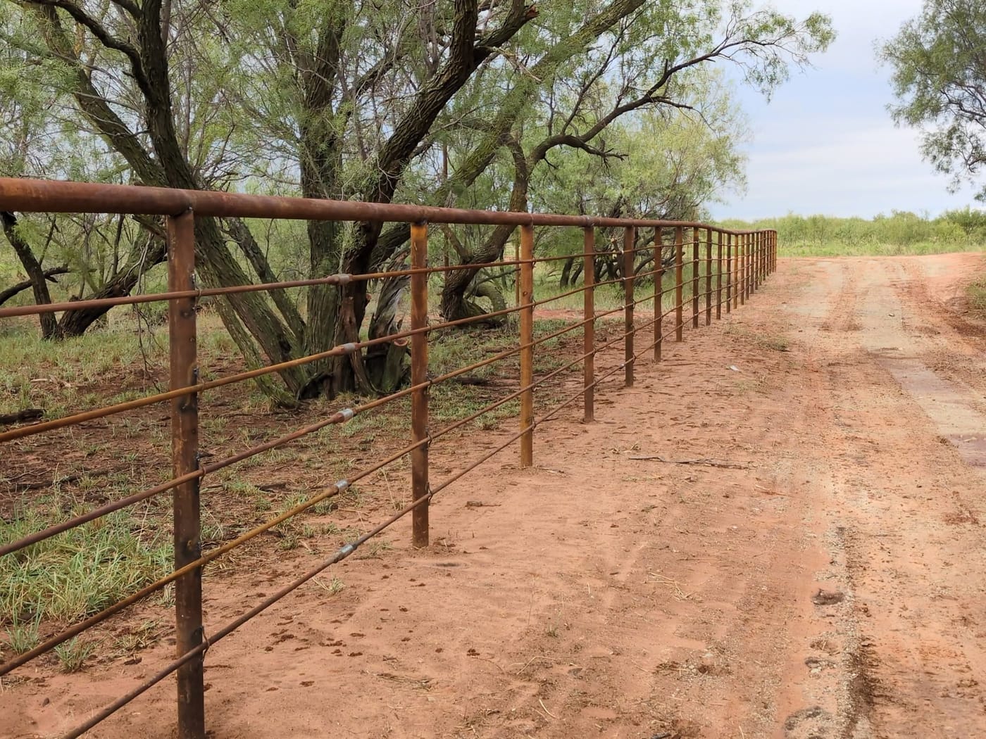 Long run of new pipe fence along a ranch road beside the tree line