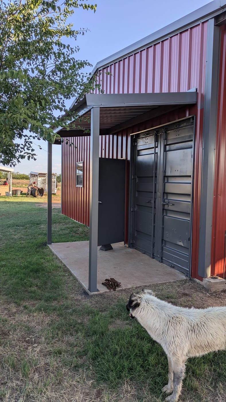 Red steel barn with a covered porch and a goat in the yard